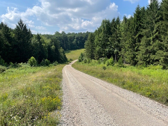 531747920 1381060377355463 1141680705266916589 n