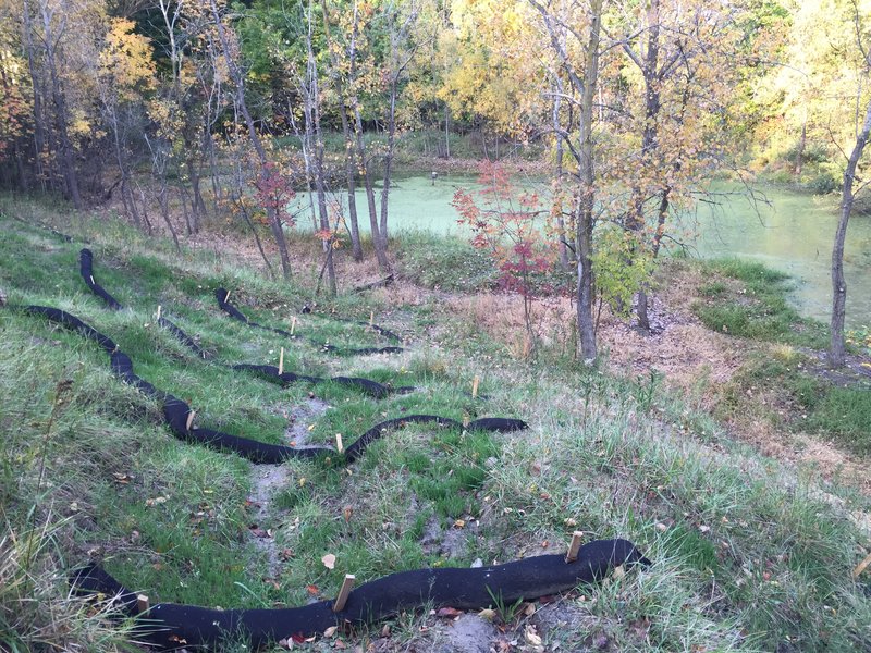 Big Switch Switchgrass Erosion Control Filtration